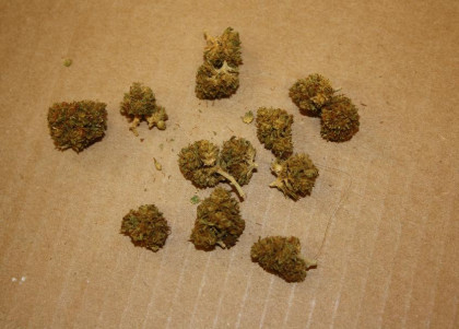 54 buds from bag of trim.jpg