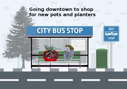free-city-bus-stop-v.jpg