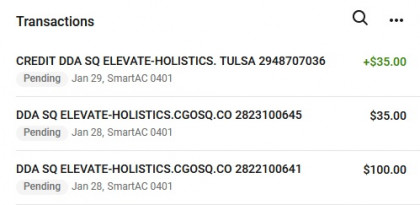 Elevate Holistics Bank Withdrawals 0002 01282021.jpg